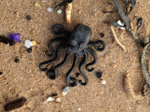 This Lego octopus was found in a cave in south Devon, England, in the late 1990s. Image by Tracey Williams/LostAtSea