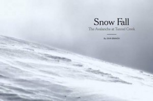 "Snow Fall" by John Branch