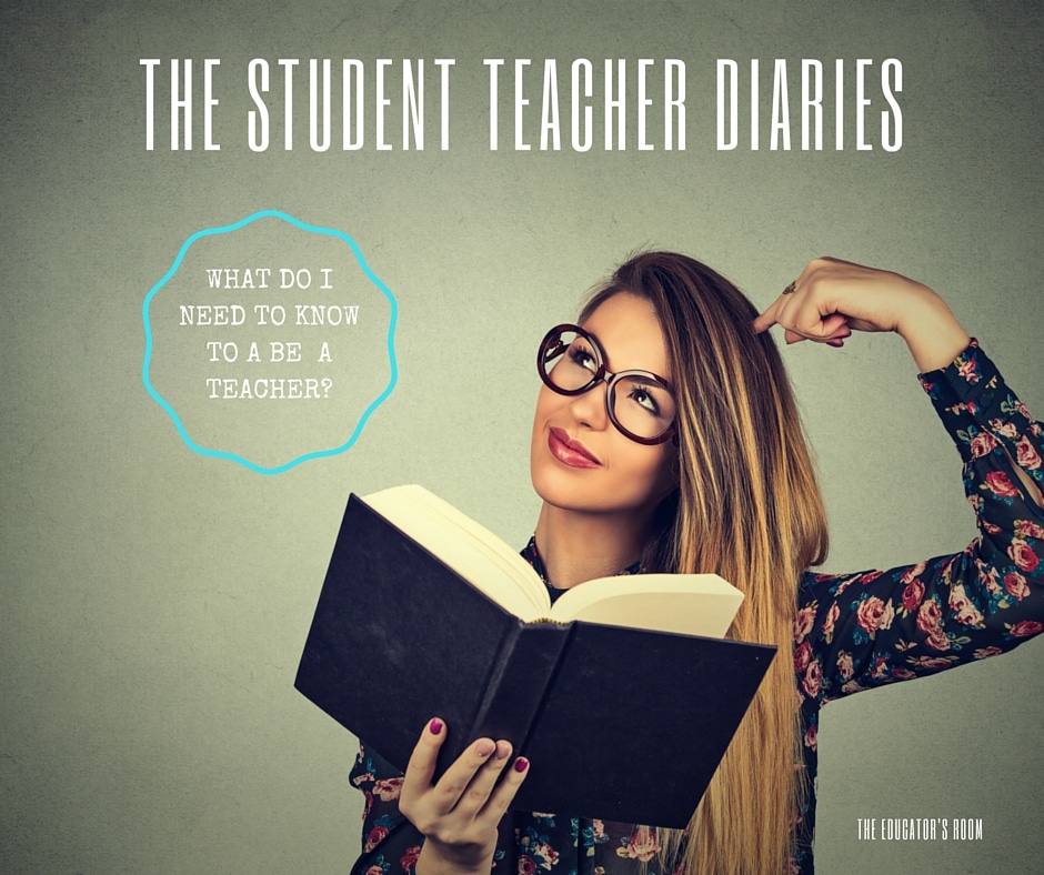 the student teacher diaries