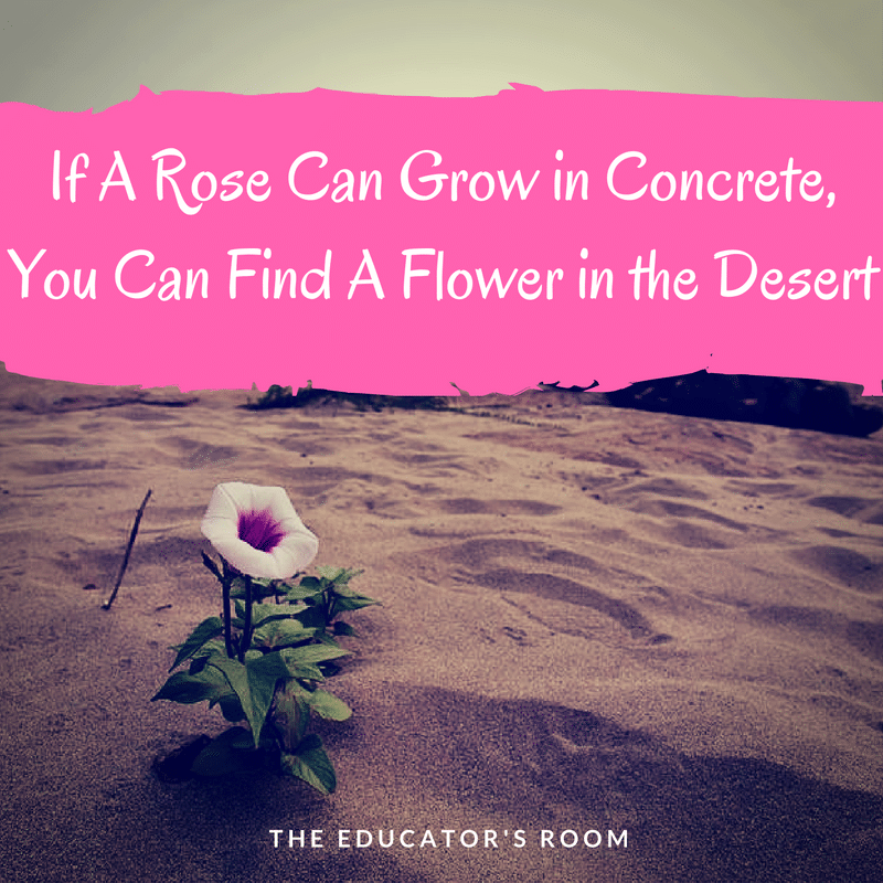 if-a-rose-can-grow
